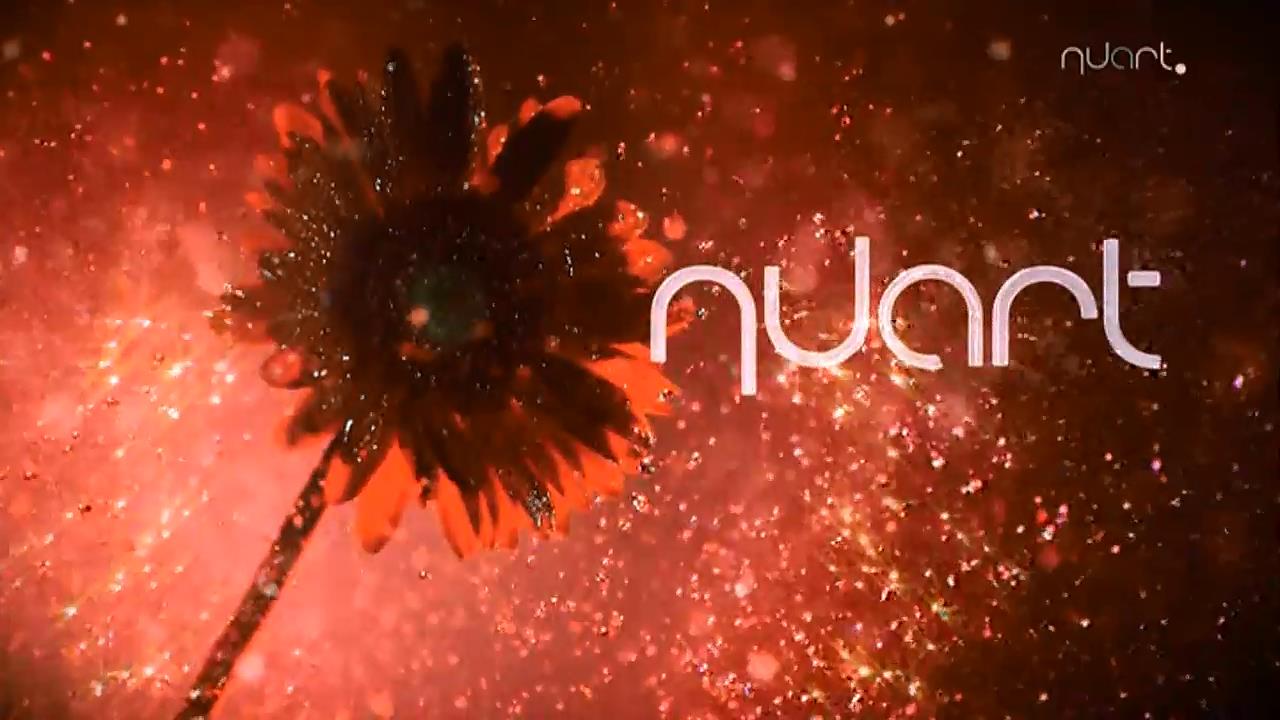 Nuart / Ню-арт