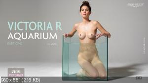 25 cетов / 2014-04 / Апрель
